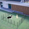 40in Outdoor Fence Heavy Duty Dog Pens 24 Panels Temporary Pet Playpen with Doors